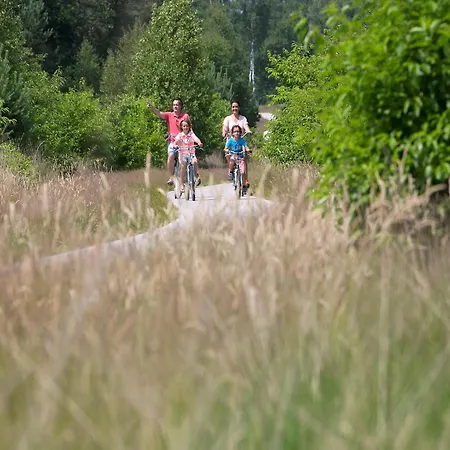 Wooden In A In The Achterhoek Лохем