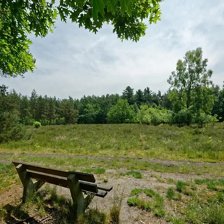 Wooden In A In The Achterhoek Шале Лохем